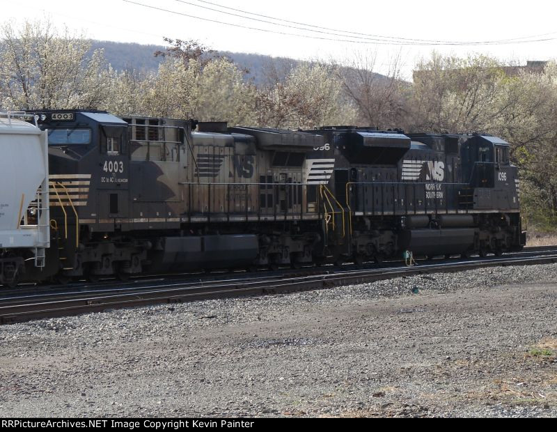 NS 4003
